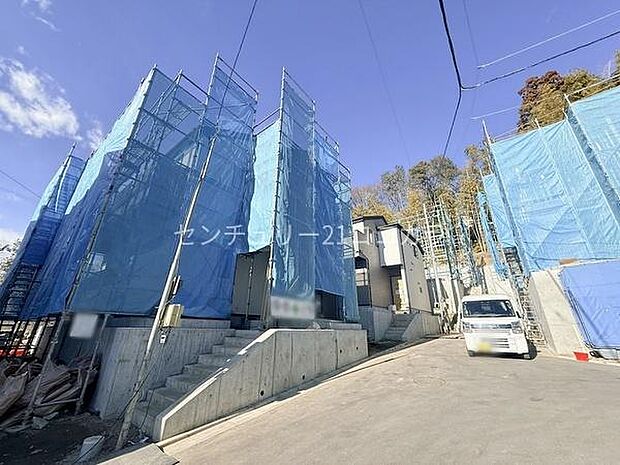 2026年1月23日撮影