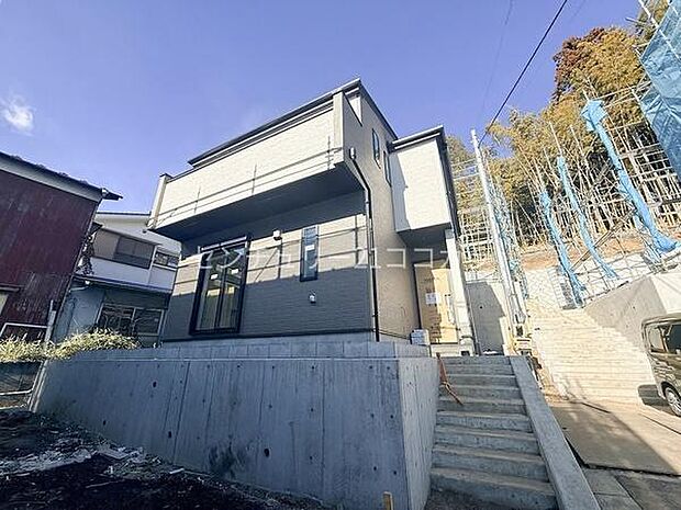 2026年1月23日撮影