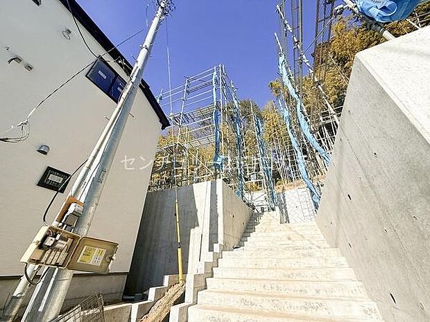 2026年1月23日撮影