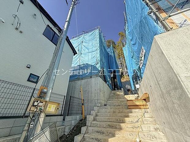 2026年2月28日撮影