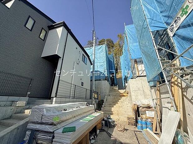 2026年2月28日撮影