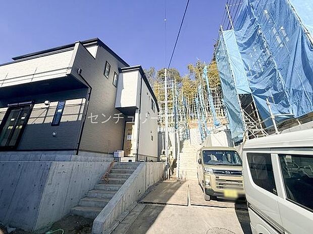 2026年1月23日撮影