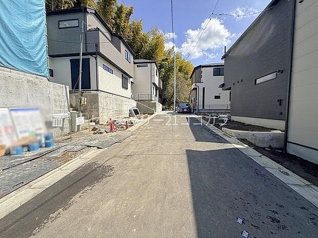 2026年3月27日撮影