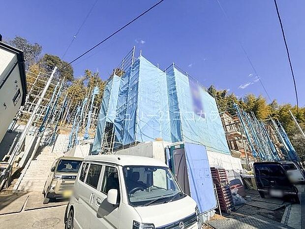 2026年1月23日撮影