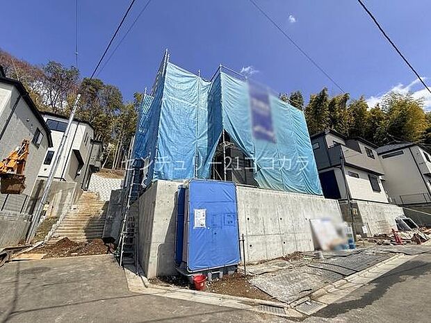 2026年3月27日撮影