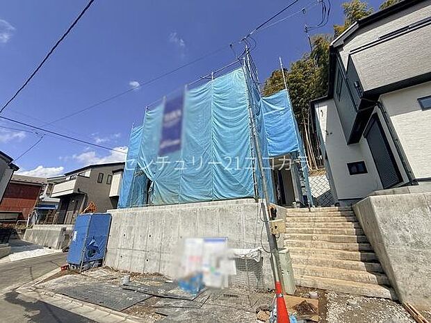 2026年3月27日撮影