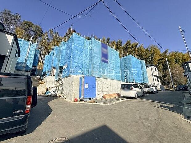 2026年2月28日撮影