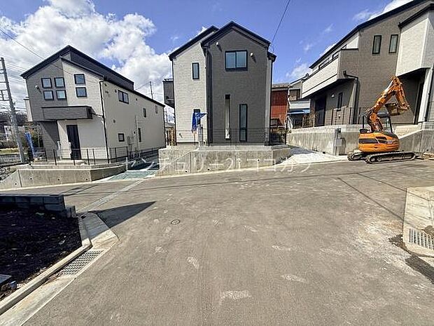 2026年3月27日撮影