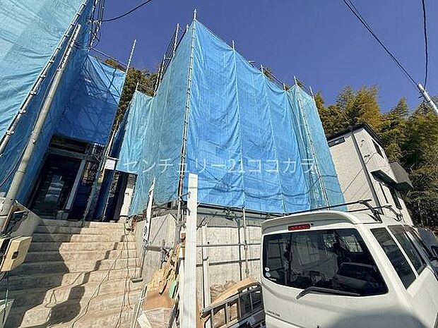 2026年2月28日撮影