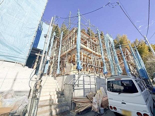 2026年1月23日撮影