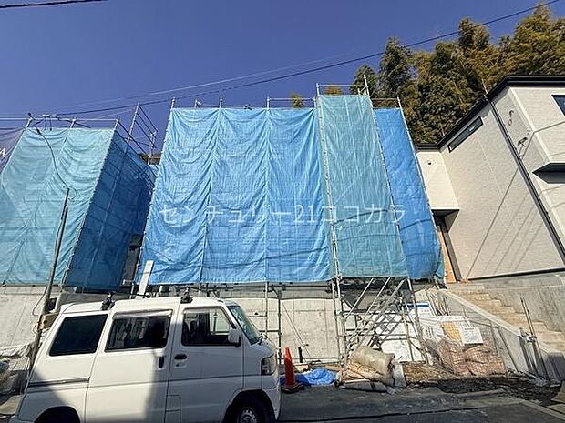 2026年2月28日撮影