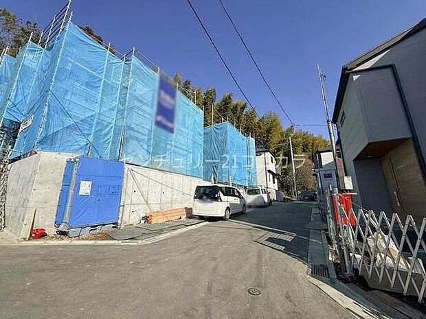 2026年2月28日撮影