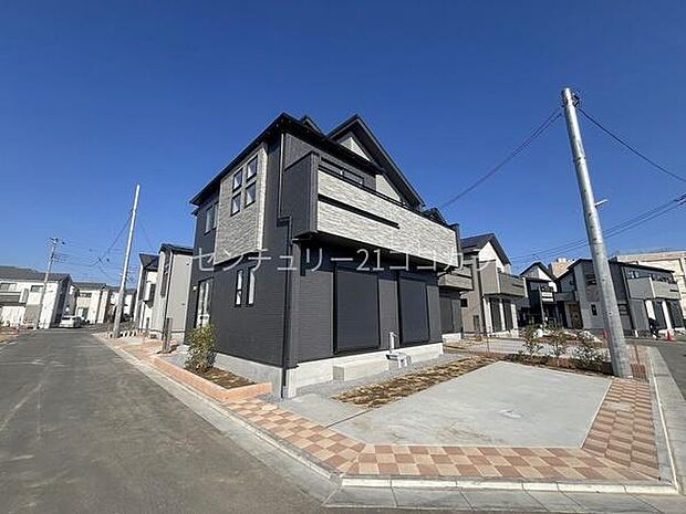 2026年1月16日撮影