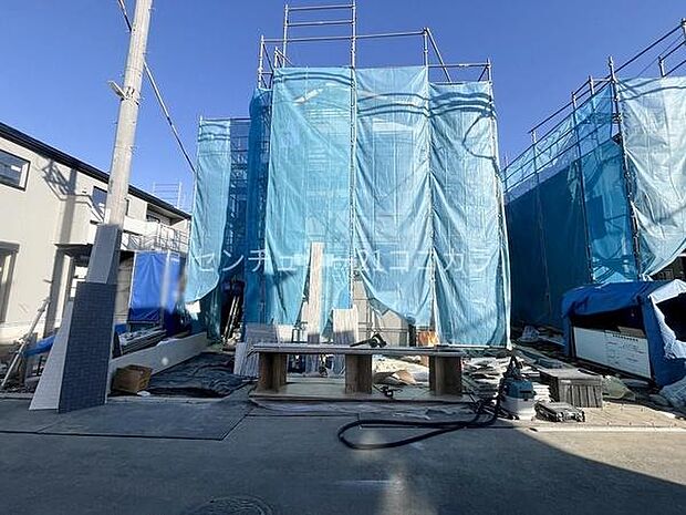 2025年12月18日撮影