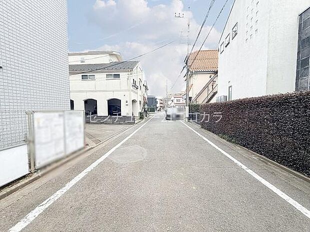 2026年3月13日撮影