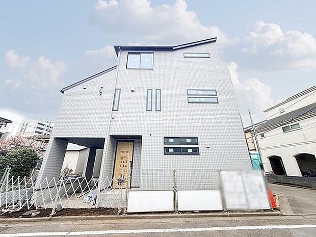 2026年3月13日撮影