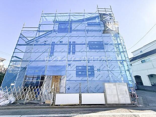 2026年2月2日撮影