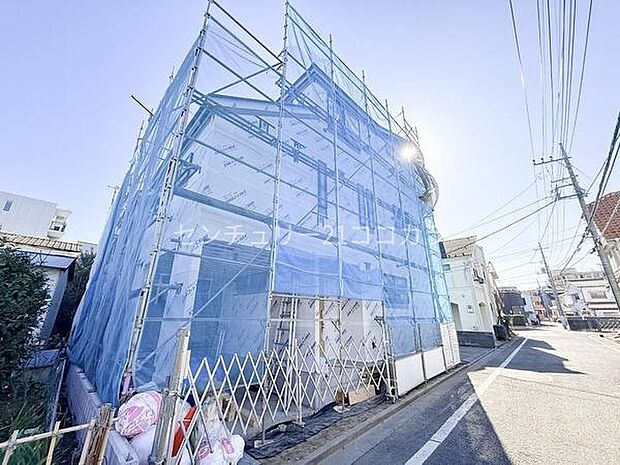 2026年2月2日撮影