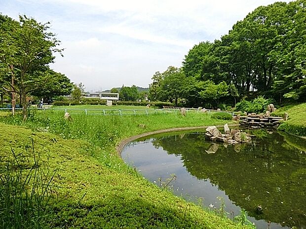 清水公園まで500m