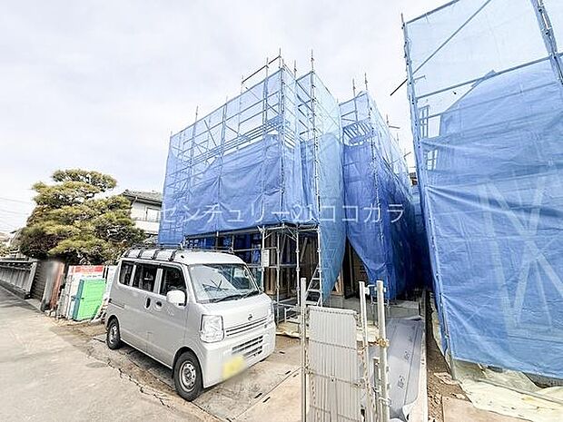 2026年1月29日撮影