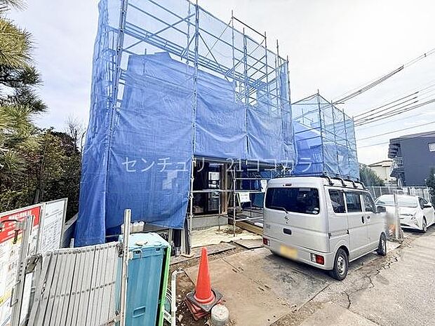 2026年1月29日撮影