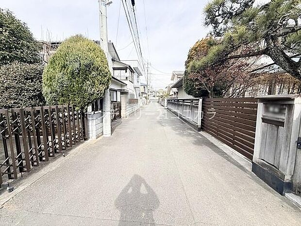 2026年1月29日撮影