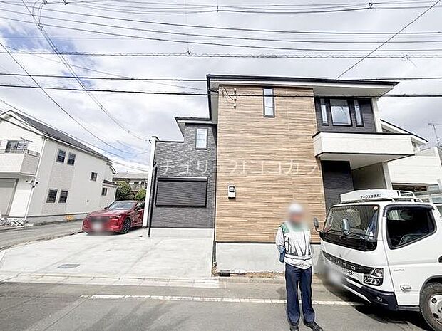 2026年3月19日撮影