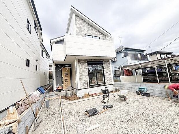 2026年3月19日撮影