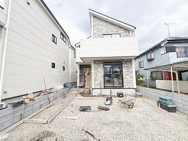 2026年3月19日撮影