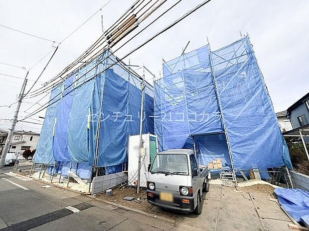 2026年1月29日撮影