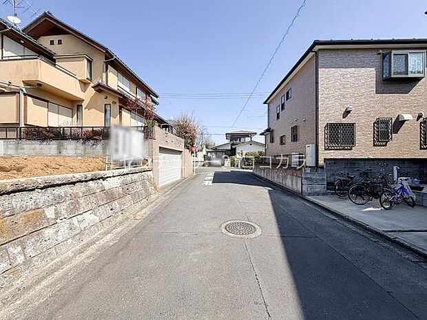 2026年3月12日撮影