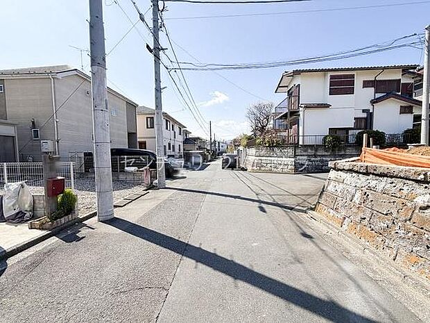 2026年3月12日撮影