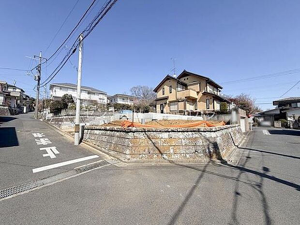 2026年3月12日撮影