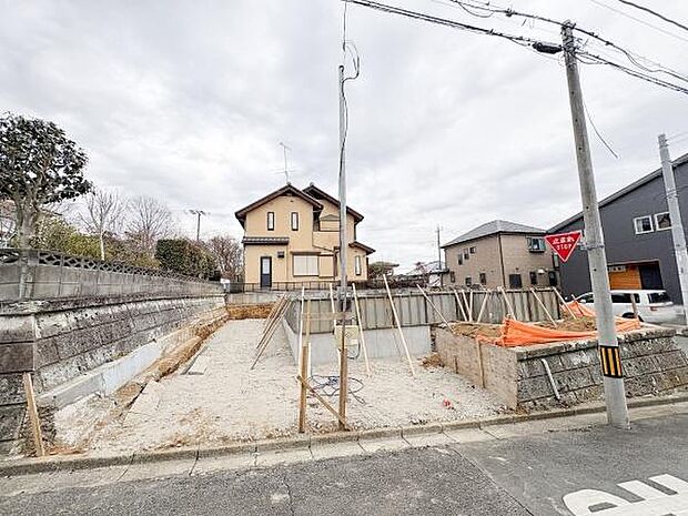 2026年3月12日撮影