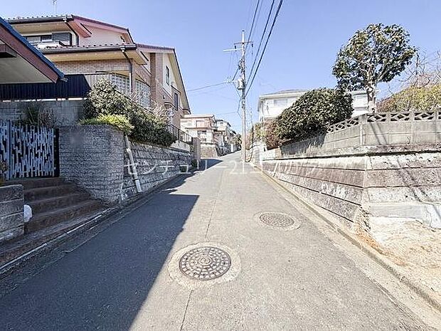 2026年3月12日撮影