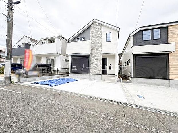 2026年3月19日撮影