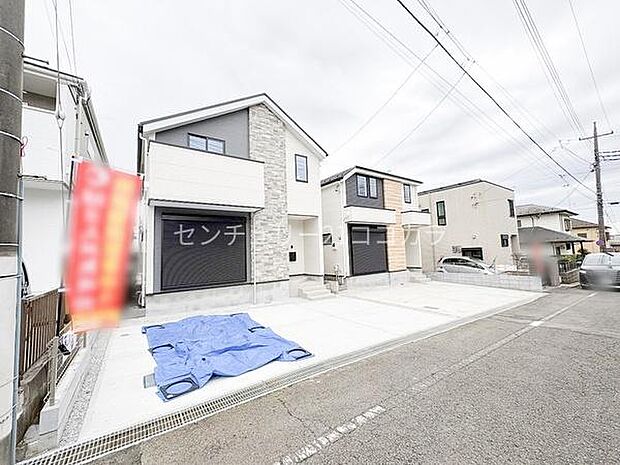 2026年3月19日撮影