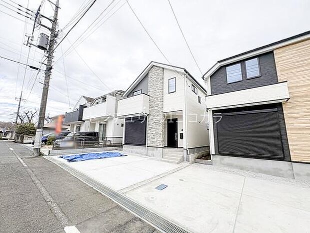 2026年3月19日撮影