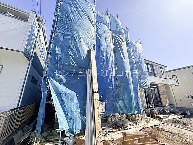 2026年2月19日撮影