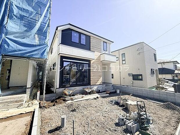 2026年2月19日撮影