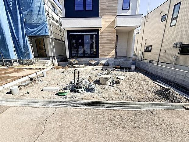 2026年2月19日撮影