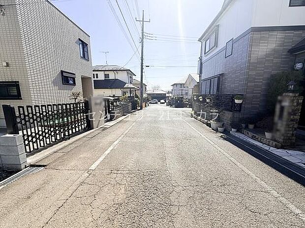 2026年2月19日撮影