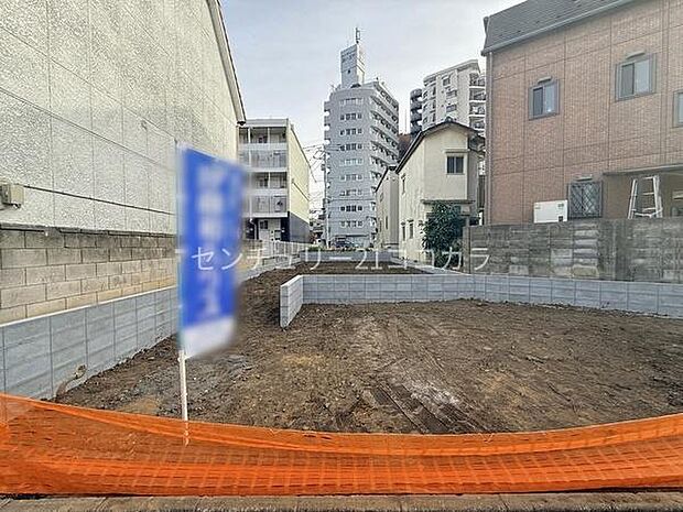 2026年1月26日撮影