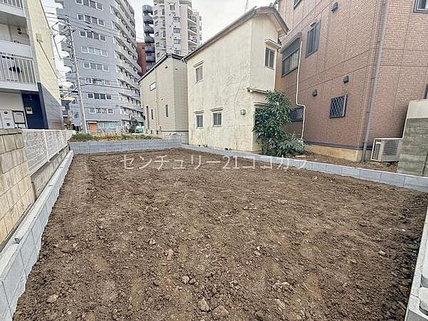 2026年1月26日撮影