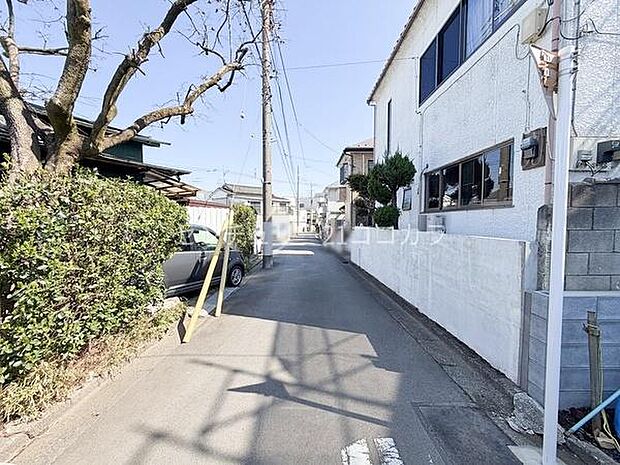 2026年3月12日撮影