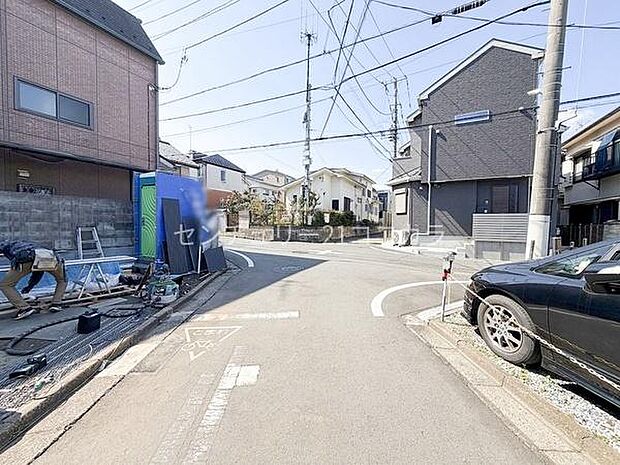 2026年3月12日撮影