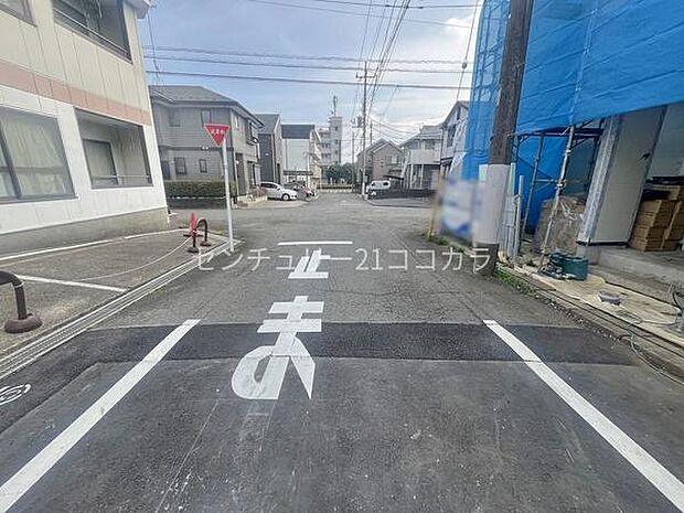 2026年3月30日撮影