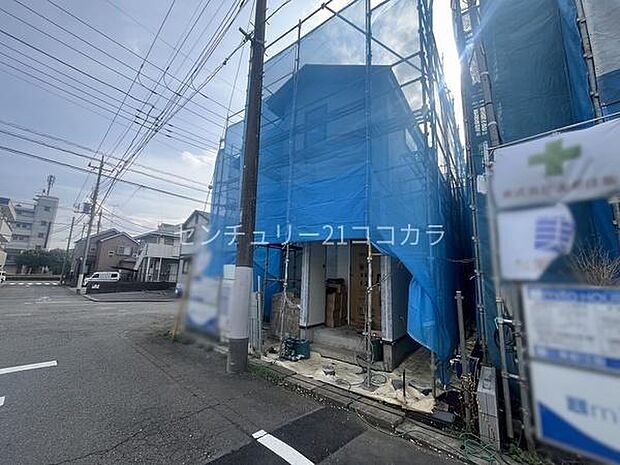 2026年3月30日撮影