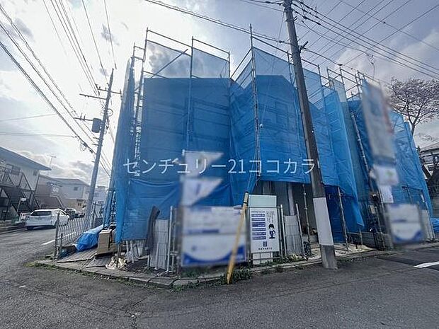 2026年3月30日撮影