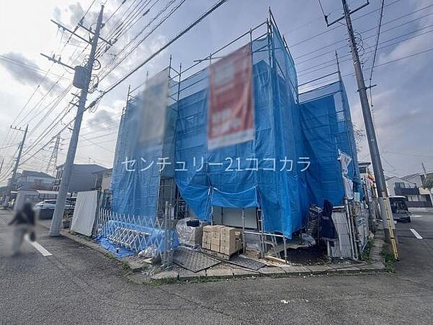 2026年3月30日撮影